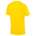 Pánské tričko Puma Fan Borussia Dortmund žluté