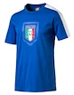 Pánské tričko Puma reprezentace Itálie Fanwear