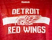 Pánské tričko Reebok Name In Lights NHL Detroit Red Wings