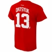 Pánské tričko Reebok Tee Flat NHL Pavel Datsyuk 13