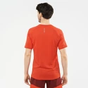 Pánské tričko Salomon Cross Run SS Tee Fiery Red