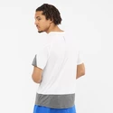 Pánské tričko Salomon Cross Run SS Tee White/Black