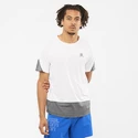 Pánské tričko Salomon Cross Run SS Tee White/Black