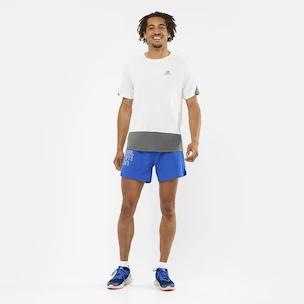 Pánské tričko Salomon Cross Run SS Tee White/Black