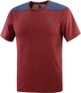 Pánské tričko Salomon  Outline SS Tee Cabernet