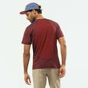 Pánské tričko Salomon  Outline SS Tee Cabernet
