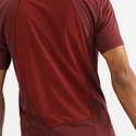 Pánské tričko Salomon  Outline SS Tee Cabernet