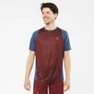 Pánské tričko Salomon Sense Aero SS Tee Cabernet