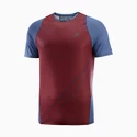 Pánské tričko Salomon Sense Aero SS Tee Cabernet