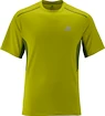 Pánské tričko Salomon Start Green