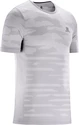 Pánské tričko Salomon XA Camo šedé
