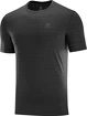 Pánské tričko Salomon XA Tee černé