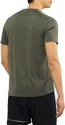 Pánské tričko Salomon XA Tee tmavě zelené