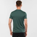 Pánské tričko Salomon XA Tee zelené