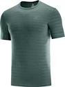 Pánské tričko Salomon XA Tee zelené