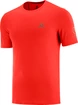 Pánské tričko Salomon  XA Trail Tee M Goji Berry