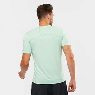 Pánské tričko Salomon XA Trail Tee M Harbor Gray