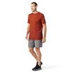 Pánské tričko Smartwool  Merino Sport 150 Tech Tee Picante