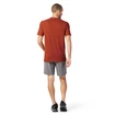 Pánské tričko Smartwool  Merino Sport 150 Tech Tee Picante