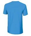 Pánské tričko Wilson Lined W Tech Tee Blue