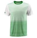 Pánské tričko Wilson Team Striped Crew Green/White