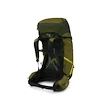 Pánský batoh OSPREY ATMOS AG LT 65 scenic valley/green peppercorn