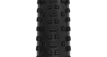 Plášť WTB  Ranger 2.4x29" TCS Light/Fast Rolling SG2