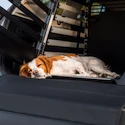 Podložka k přepravní kleci Thule Allax Dog mat wide