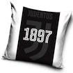 Polštářek Juventus FC Forever