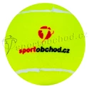 POSLEDNÍ KUS - Tenisová raketa Babolat Pure Drive Roddick GT