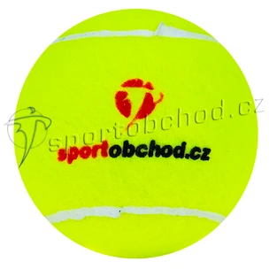 POSLEDNÍ KUS - Tenisová raketa Babolat Pure Drive Roddick GT