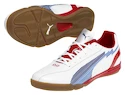 POSLEDNÍ PÁRY - Sálovky Puma evoSpeed 5 IT