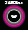 Potah Butterfly  Challenger Attack