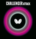 Potah Butterfly  Challenger Attack