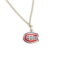 Přívěšek na řetízku NHL Montreal Canadiens