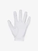 Rukavice Under Armour UA Iso-Chill Golf Glove-WHT