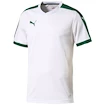 Sada dresů Puma Pitch - 10 ks