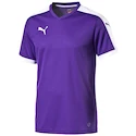 Sada dresů Puma Pitch - 10 ks