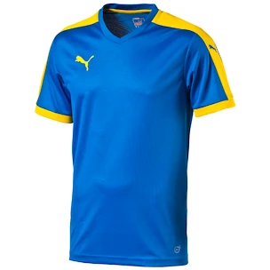 Sada dresů Puma Pitch - 10 ks