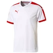 Sada dresů Puma Pitch - 15 ks
