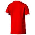 Sada dresů Puma Pitch - 15 ks