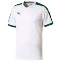 Sada dresů Puma Pitch - 15 ks