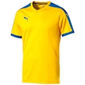 Sada dresů Puma Pitch - 15 ks