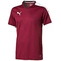 Sada dresů Puma Pitch - 15 ks