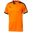 Sada dresů Puma Pitch - 15 ks