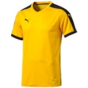 Sada dresů Puma Pitch - 15 ks