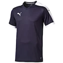 Sada dresů Puma Pitch - 15 ks