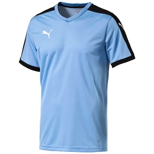 Sada dresů Puma Pitch - 15 ks