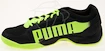 Sálovky Puma evoSpeed Indoor 5.2