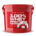 Scitec Nutrition 100% Whey Protein Professional 5000 g